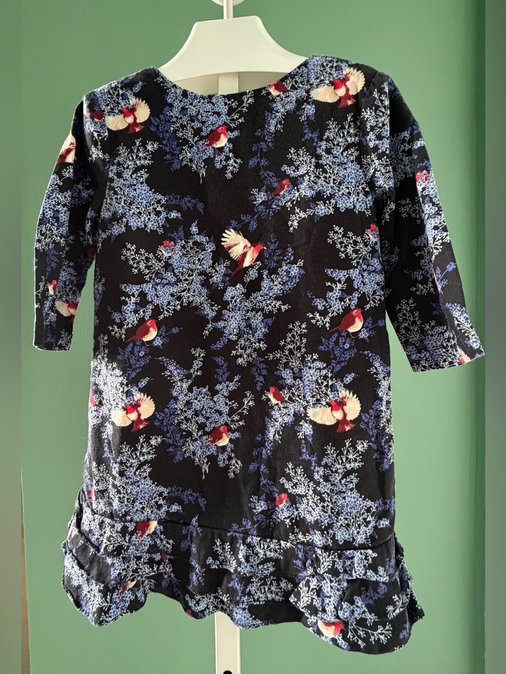 GAP Kids Black Lined Shift Dress with Blue Floral & Red Bird Print